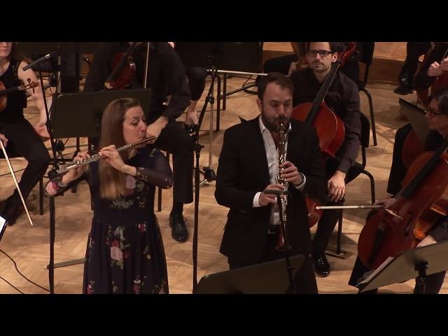 Danzi, Sinfonia Concertante for flute & clarinet (Irena Kavčič, Tommaso Lonquich, RTV Slovenia)