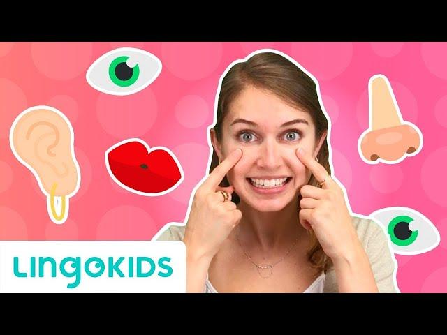 Learn Face Parts in English! for Kids | Lingokids