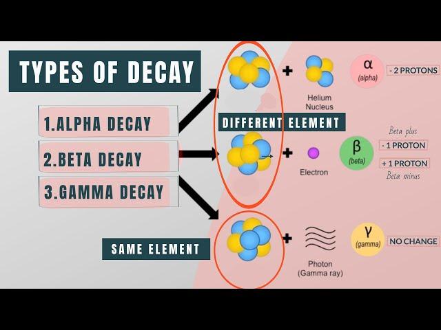 Different types of decay | Alpha vs. Beta vs. Gamma decay | Visual Explanation