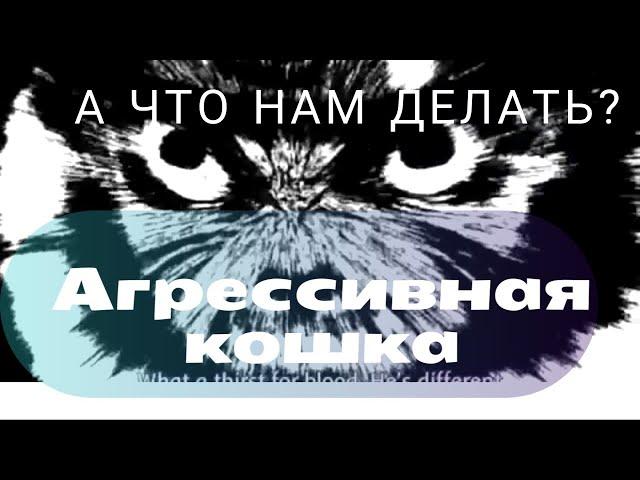 Агрессивная кошка.Признаки .А что делать?