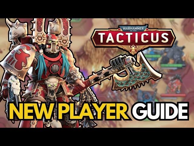 Beginner's Guide - Who to Level Up, Tips and Codes!