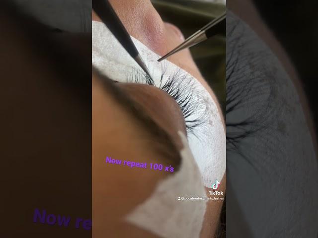 Mink lash application