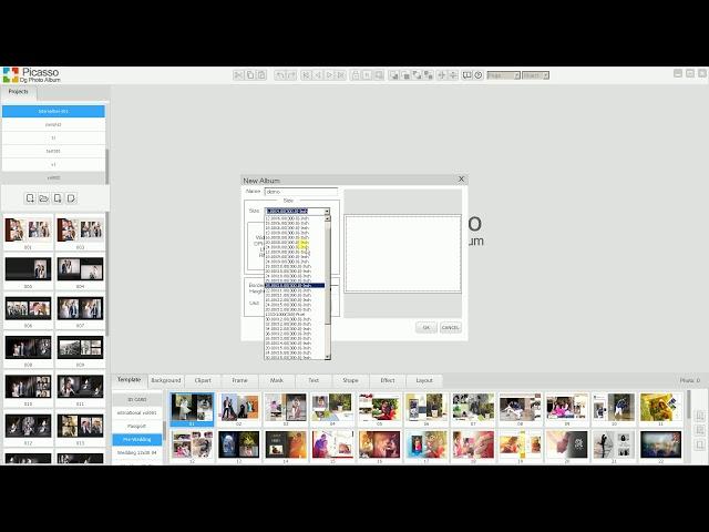 Picasso dg photo album Introduction and new project creation with any size