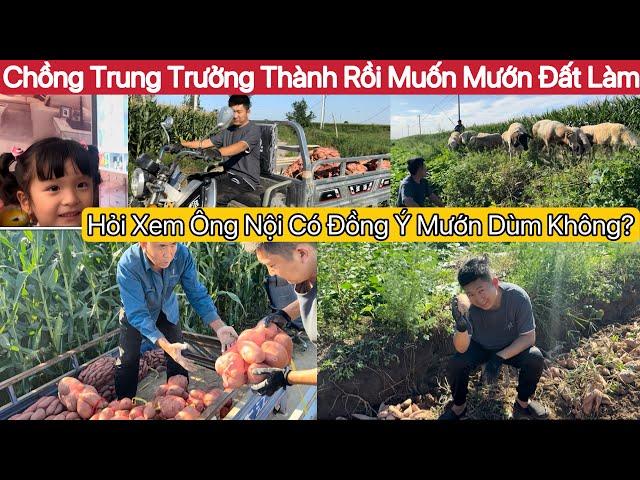 #656] Chồng Trung Bàn Tính Với Vợ Định Mướn Đất Làm Ruộng.Không Biết Ông Bà Nội Có Đồng Ý Không?