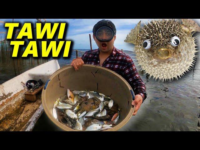 Tawi-Tawi Unlimited Fish Hunting!! Catch and Cook sa Dulo ng Pilipinas!