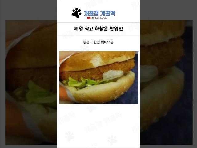 웃긴 상황들 모음 285탄 ㅋㅋㅋㅋ