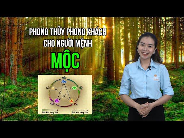 Phong Thủy Phòng Khách Cho Người Mệnh Mộc Phát Tài Phát Lộc