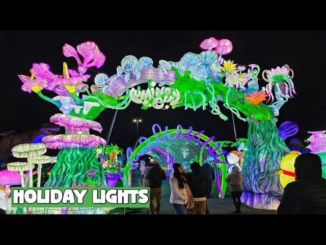 Luminocity - Fantastic Holiday Lights & Dino Safari Festival in Freehold, NJ!