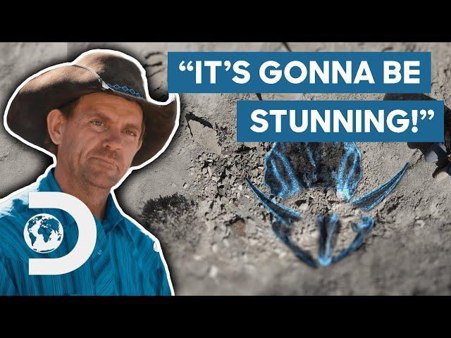 Dinosaur Hunters Find A Triceratops Skull | Dino Hunters