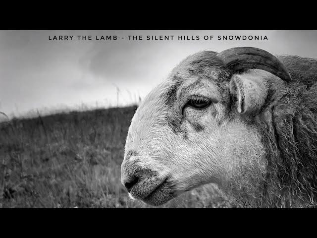 Larry The Lamb - The Silent Hills Of Snowdonia