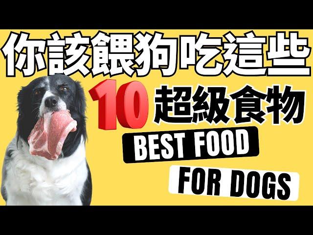 整理這10種【狗應該吃的超級食物】，請問還缺哪些?｜狗可以吃的食物2023 🟢Top 10 Best Food For Dog