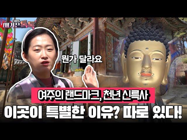 [매거진 톡톡] 여주의 랜드마크, 천년 신륵사...이곳이 특별한 이유? 따로 있다!