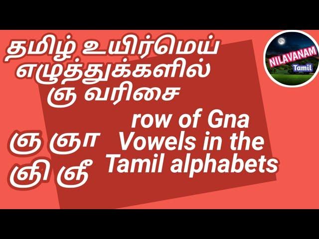 உயிர்மெய் எழுத்துக்களில் ஞ வரிசை