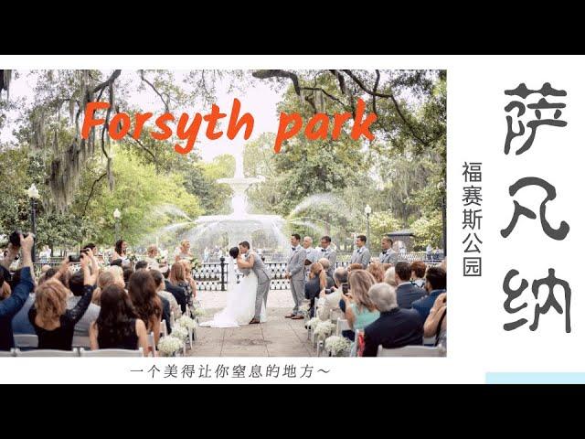 亚特兰大周边三日游：萨凡纳——福赛斯公园（Savannah--Forsyth Park）阿甘正传拍摄地！