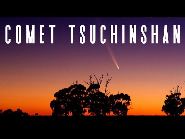 How To See Comet Tsuchinshan-ATLAS Tonight