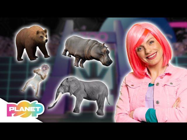 Looking At The Animals Song  | ESL Songs | English For Kids | Planet Pop | Learn English