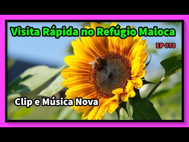 Visita Rápida no Refúgio Maloca e Clip e Música Nova Feitos por Mim EP 073