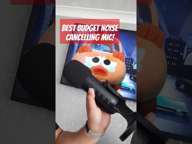 The BEST budget noise cancelling mic!