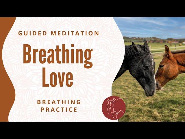 A meditative practice with foals // Breathing Love