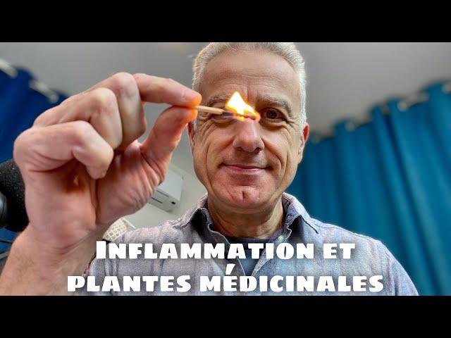 Inflammation chronique et aïgue : pourquoi faut-il connaître la différence ?