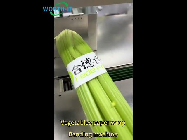 vegetables paper wrap banding machine