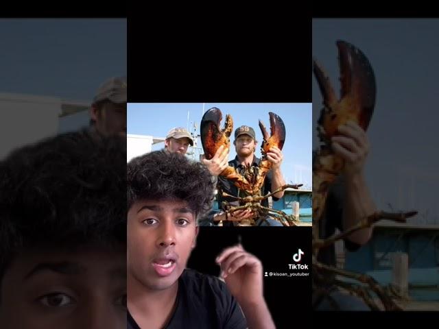 Det Her Vidste Du Ikke!