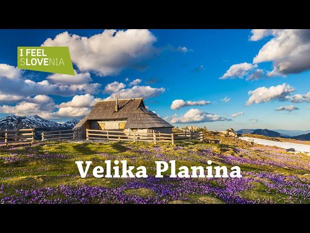 Tour of Slovenia 2022: Velika Planina, Kamnik