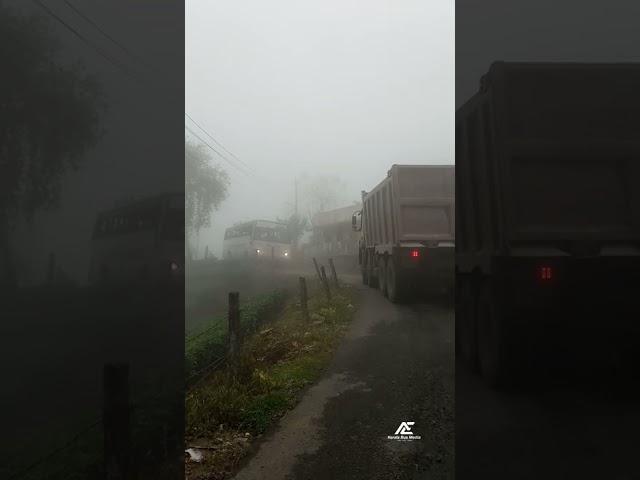 KSRTC VAGAMON Vibes🪄 | Aanavandi | Kerala Bus Media | #viral #shorts #ksrtc #vagamon