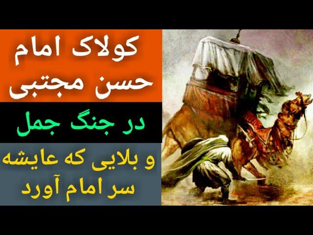 کولاک امام حسن مجتبی در جنگ جمل و بلایی که عایشه سر امام آورد