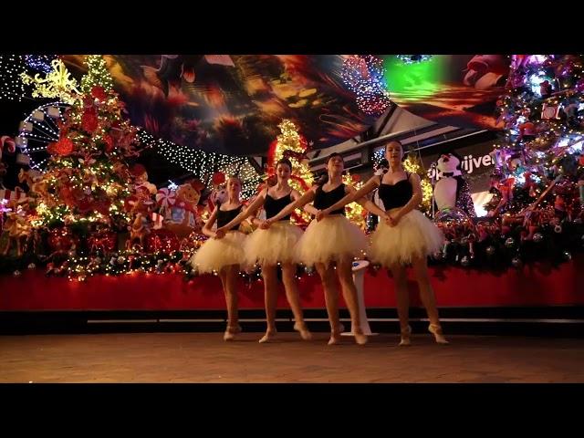 Kerstshow Tuincentrum Leurs 2024 | Een van de grootste en mooiste kerstshows van Nederland!