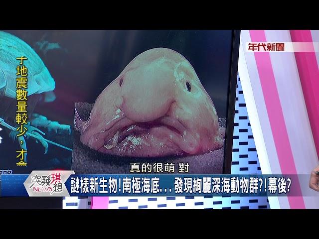 171111突發琪想