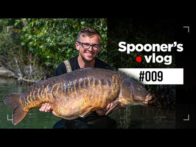 GIGANTICA SOCIAL - MASSIVE CARP - SPOONERS VLOG #009 | CARP FISHING