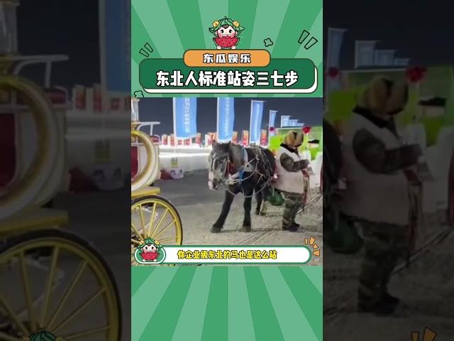 东北人的标准站姿三七步！#内容过于真实 #东北 #三七步 #万万没想到 #娱乐评论大赏#shorts