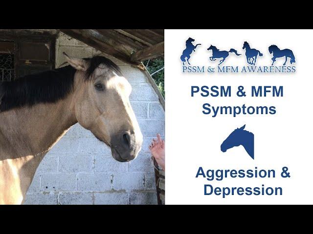 PSSM & MIM Symptoms- Aggression & Depression