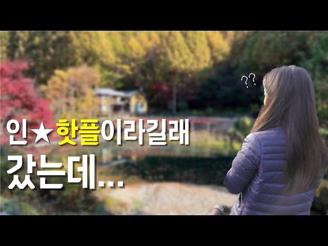 올가을은 그냥 오지마세요..#온빛자연휴양림 #단풍명소