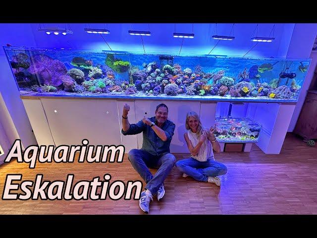 Ein natürliches 1800 Liter MEERWASSER Aquarium in NRW | Zu Besuch bei der Mama der 1000 Clownfische.