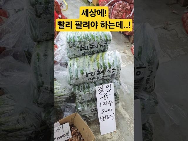 눈물나! 큰일! 빨리 팔려야 하는데...! #시장 #맛집 #먹방 #먹거리 #맛집