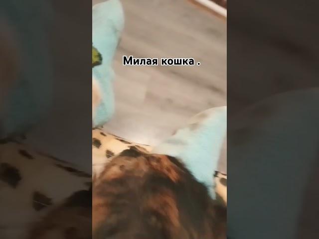 22 ноября 2024 г.