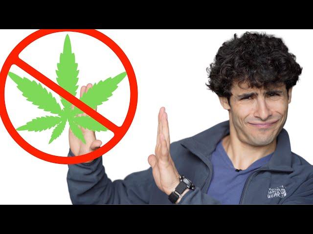 5 Reasons All Young Men Should Quit Weed