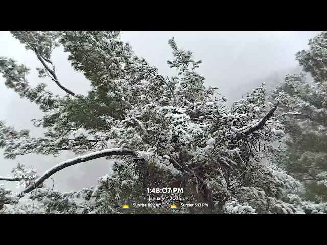 1-1-25 A Bald Eagle’s Mid-Afternoon SNOWY Nest Check In Cam 2