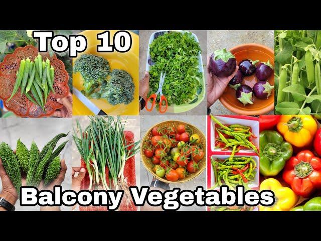 Easy 10 vegetables we can grow at home | घर में उगाई जाने वाली 10 सब्जियां