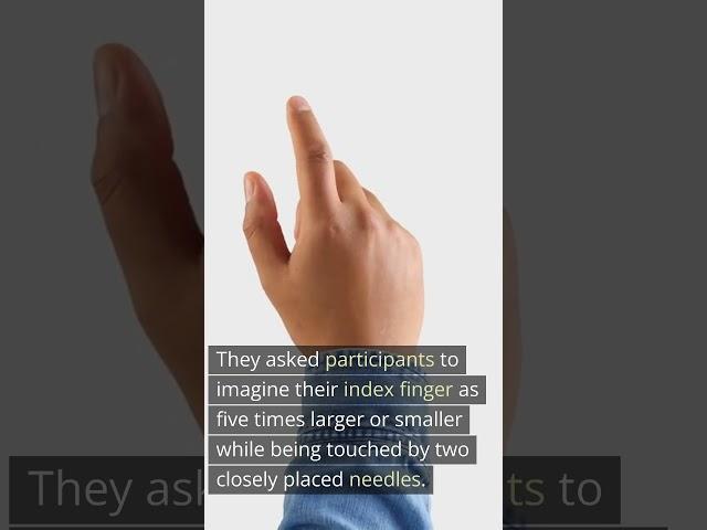 Thought Power: Altering Tactile Perception With the Power of Imagination - Neuroscience News #shorts