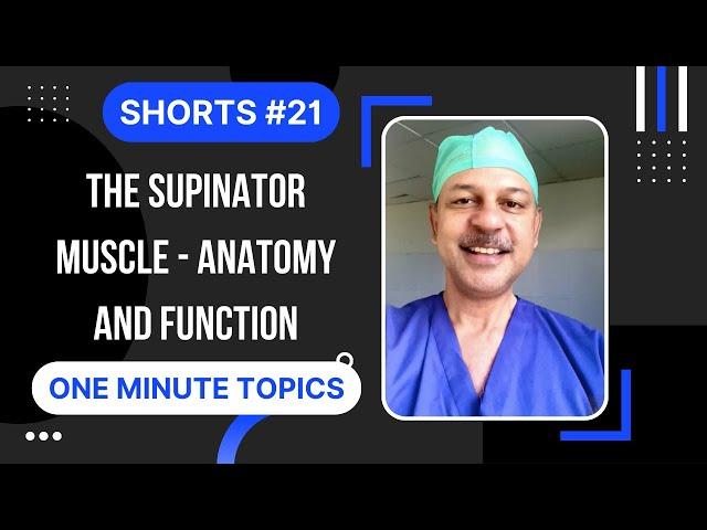 Shorts #21: The supinator muscle - Anatomy and function