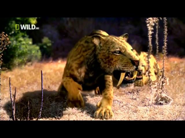 Доисторические хищники — Саблезубый Тигр Документальные фильмы Nat Geo Wild HD