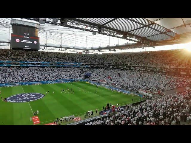 Frankfurt Deutsche Bank Park 360° - home ground of Eintracht Frankfurt