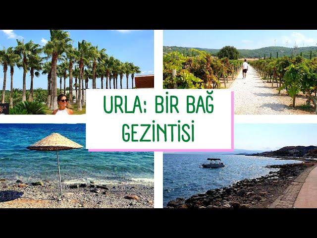 URLA VLOG | ACİLLİK OLDUK! | URLA'DA BİR BAĞ GEZİNTİSİ BU NASIL BİR YER? | TERAPİ GİBİ VLOG