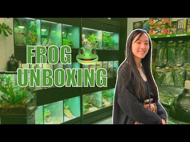 Getting a Pacman Frog! | BIOACTIVE tank setup, haul, and unboxing!