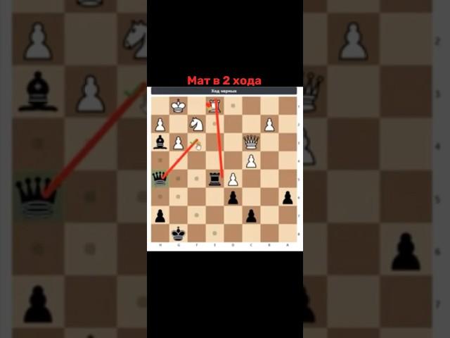 Мат в 2 хода  Отрывок занятия. #chess777 #chess #шахматы #обучение #chessgame