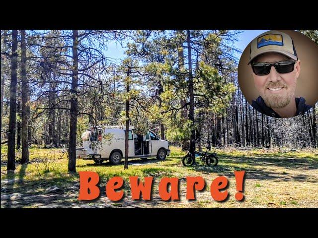 Beware Of THIS Danger While Camping In The Forest! #boondocking #vanlife 