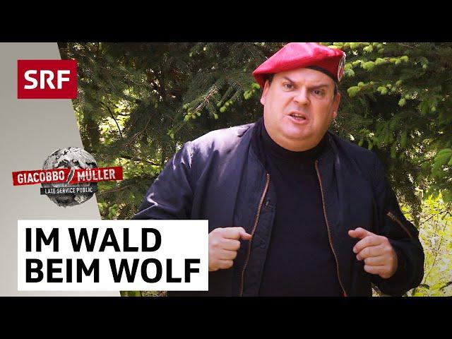 Security-Experte zur Gefahr durch den Wolf, Panther und Wanderer | Giacobbo / Müller | Comedy | SRF